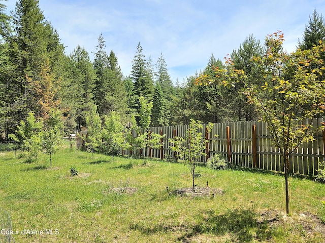 657 Bear Claw Rd, Clark Fork, ID 83811 - view of yard