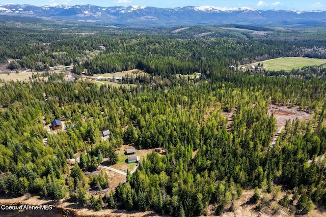 760 Fox Glen Rd, Sandpoint, ID 83864 - birds eye view of property with a mountain view and a view of trees