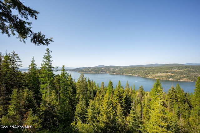 water view featuring a mountain backdrop and a heavily wooded area
