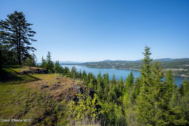 water view featuring a mountain backdrop
