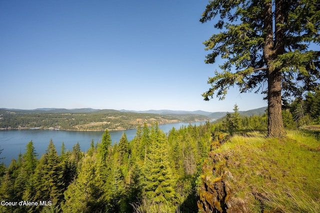 water view with a mountain backdrop and a heavily wooded area