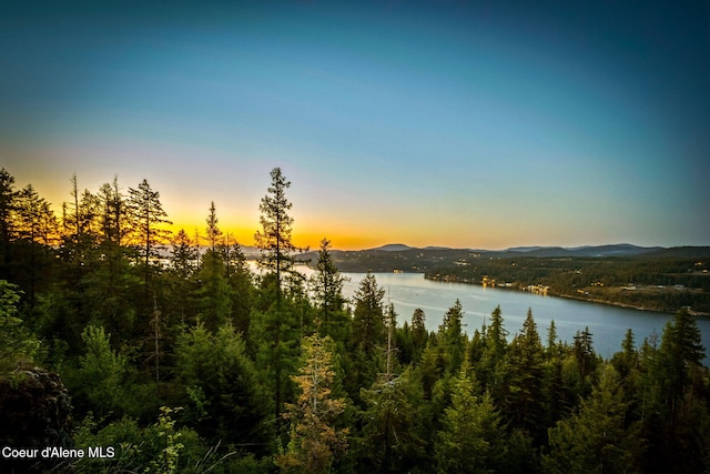 water view featuring a mountainous background