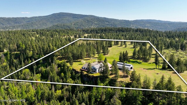 view of subject property with a heavily wooded area, a mountainous background, and property boundaries highlighted