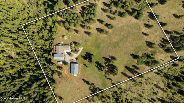 bird's eye view