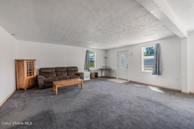9727 W E St, Worley, ID 83876 - living area with plenty of natural light and carpet