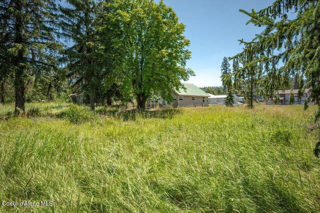 9727 W E St, Worley, ID 83876 - view of yard
