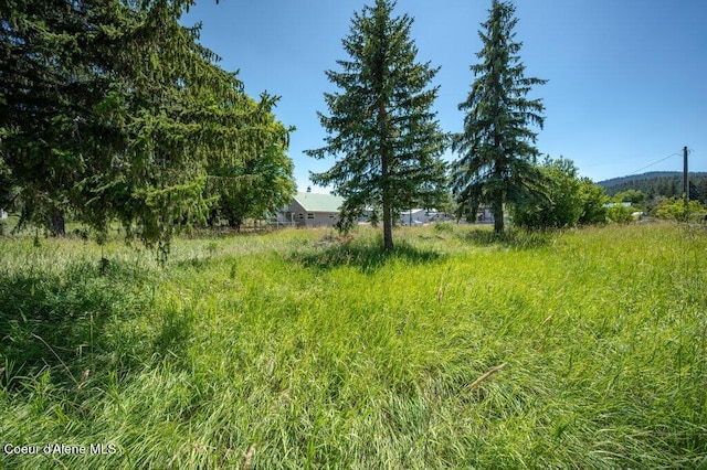 9727 W E St, Worley, ID 83876 - view of yard