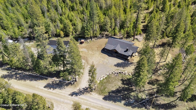 drone / aerial view