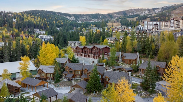 bird's eye view featuring a mountain view and a view of trees