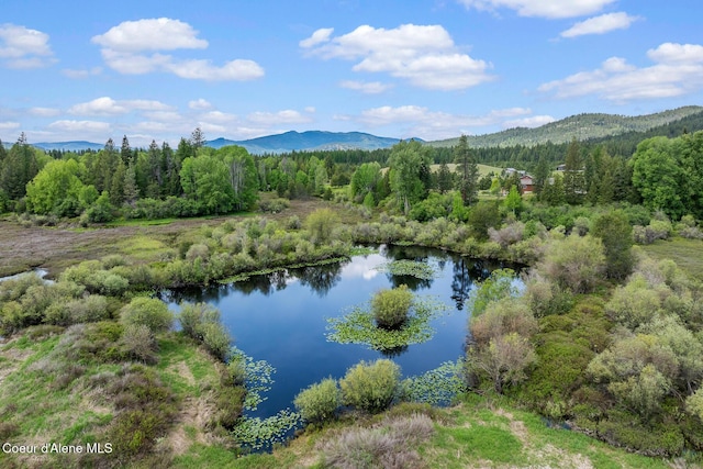 water view featuring mountains and a heavily wooded area