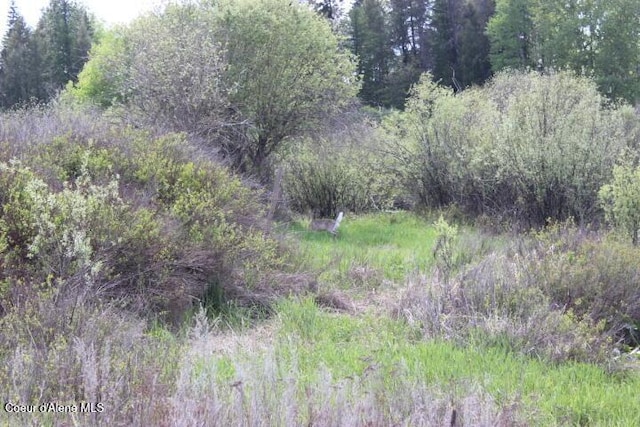 view of wooded area