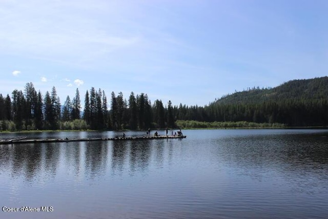 436 Mays Rd, Sagle, ID 83860 - water view with a heavily wooded area
