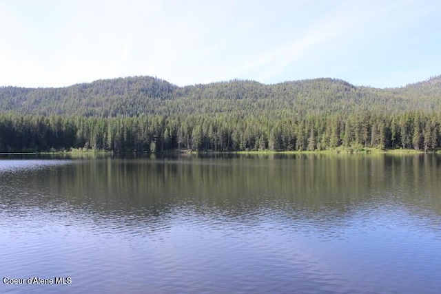 436 Mays Rd, Sagle, ID 83860 - water view with a forest and mountains