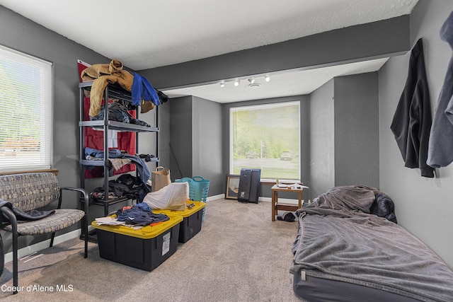 1729 N 9th St, Coeur Dalene, ID 83814 - bedroom featuring carpet, rail lighting, and baseboards