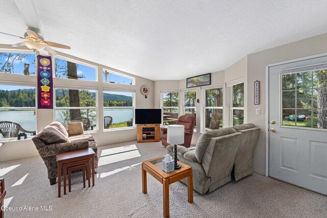 carpeted living area featuring plenty of natural light, a ceiling fan, and a textured ceiling