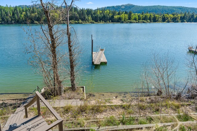 water view with a heavily wooded area and a floating dock