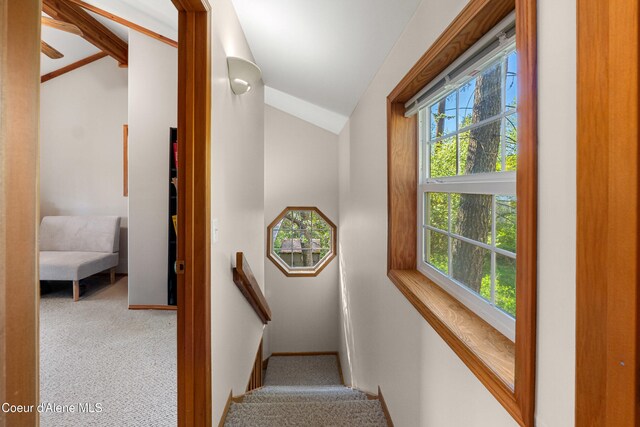 staircase featuring vaulted ceiling and carpet
