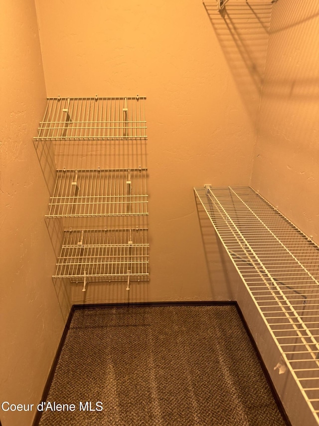 10320 N Payment Peak Rd, Hauser, ID 83854 - view of spacious closet