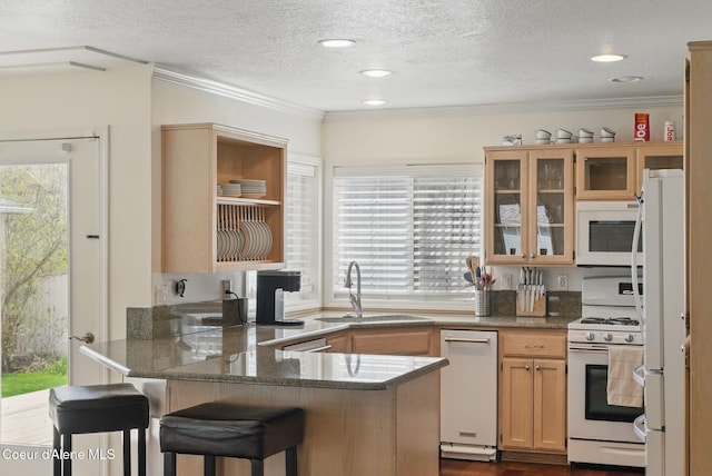 2123 Browning Way, Sandpoint, ID 83864 - kitchen featuring white appliances, a healthy amount of sunlight, a peninsula, and a sink