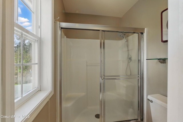 2123 Browning Way, Sandpoint, ID 83864 - bathroom featuring a stall shower, toilet, and a wealth of natural light