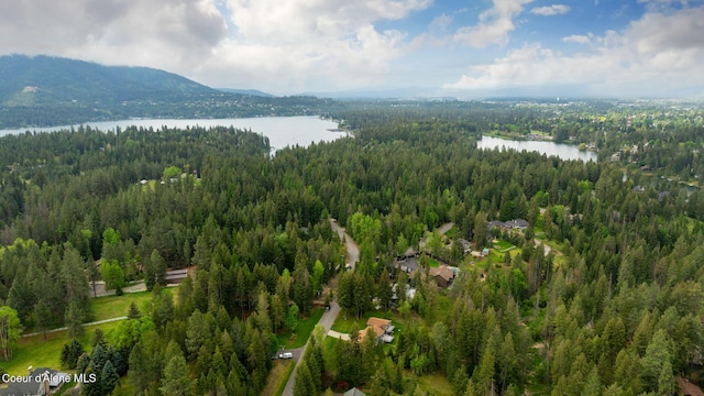 12173 N Friar Dr, Hayden Lake, ID 83835