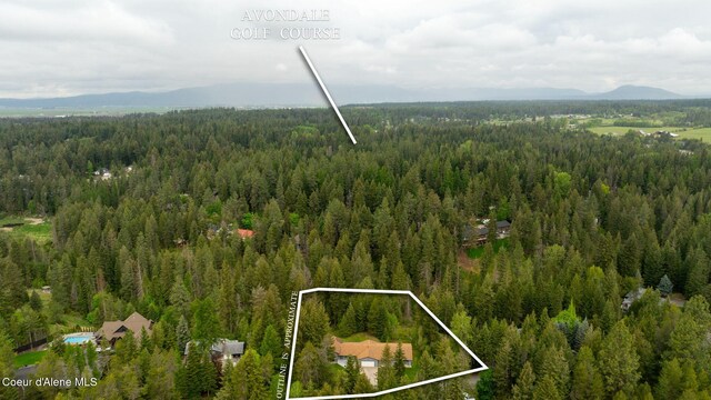 12173 N Friar Dr, Hayden Lake, ID 83835
