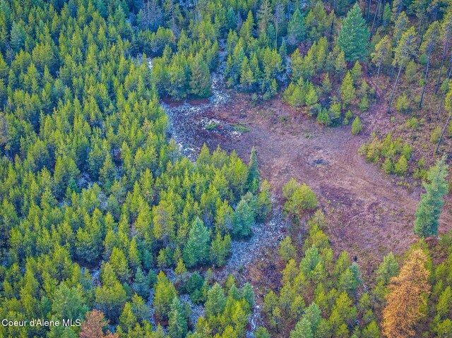 762 Reeder Bay Rd, Nordman, ID 83848 - aerial view of property and surrounding area with a forest