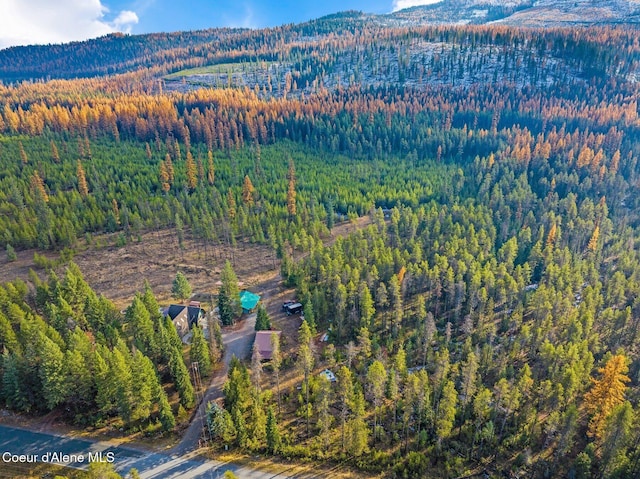 762 Reeder Bay Rd, Nordman, ID 83848 - aerial view of property's location featuring a forest and mountains
