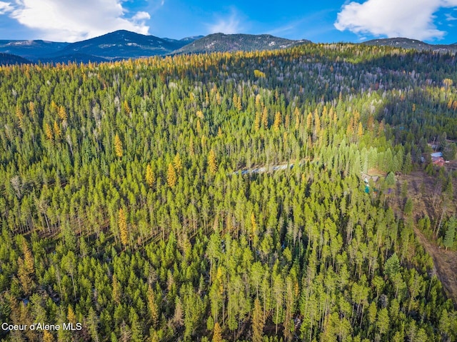762 Reeder Bay Rd, Nordman, ID 83848 - view of mountain background with a forest