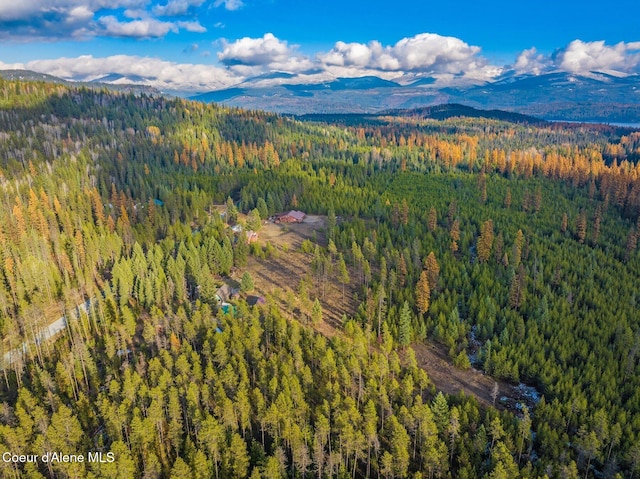 762 Reeder Bay Rd, Nordman, ID 83848 - aerial view of property and surrounding area with a heavily wooded area and a mountain backdrop
