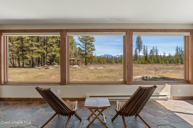 762 Reeder Bay Rd, Nordman, ID 83848 - dining space with stone finish flooring and baseboards