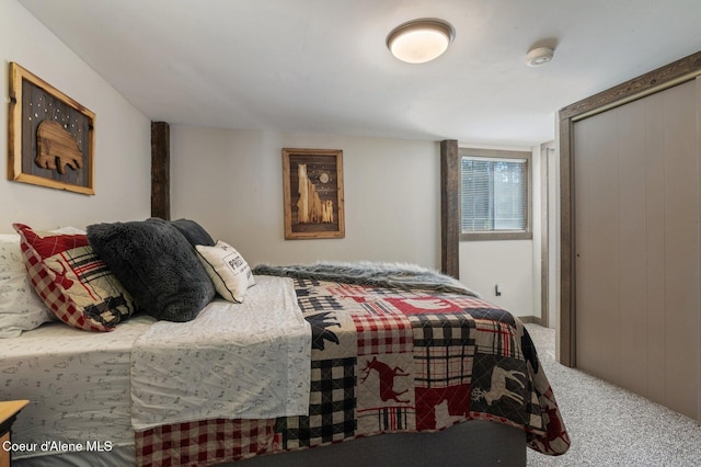 762 Reeder Bay Rd, Nordman, ID 83848 - bedroom featuring carpet and a closet