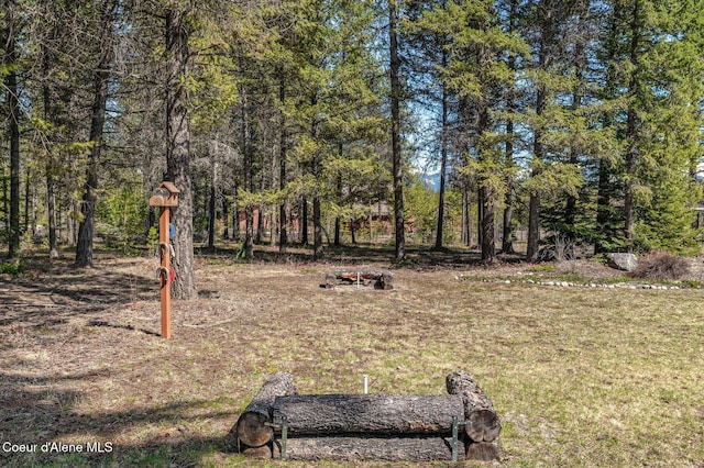 762 Reeder Bay Rd, Nordman, ID 83848 - view of yard