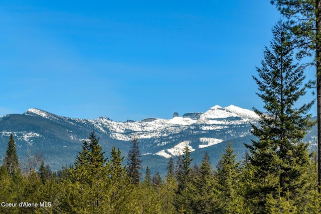 762 Reeder Bay Rd, Nordman, ID 83848 - view of mountain background with a heavily wooded area