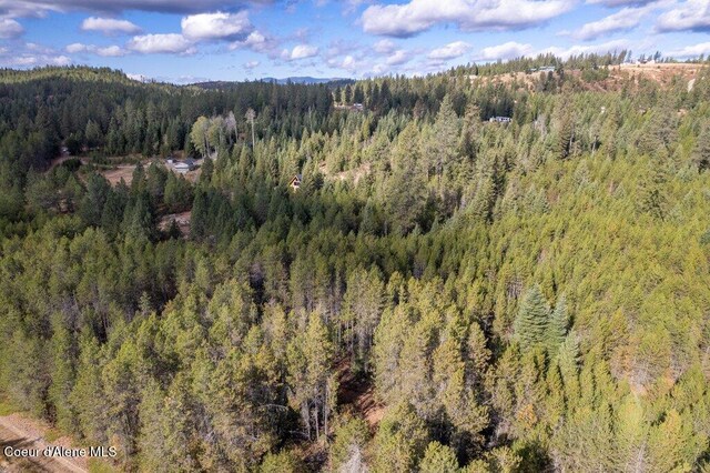LOT5 Grand Fir Dr, Athol, ID 83801