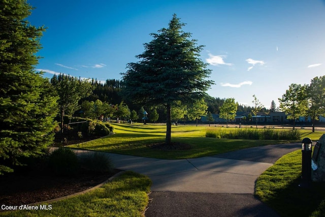 2051 N Main St # 217, Coeur Dalene, ID 83814 - surrounding community featuring a lawn