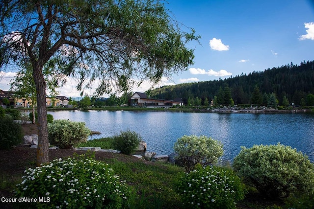 2051 N Main St # 217, Coeur Dalene, ID 83814 - water view with a forest