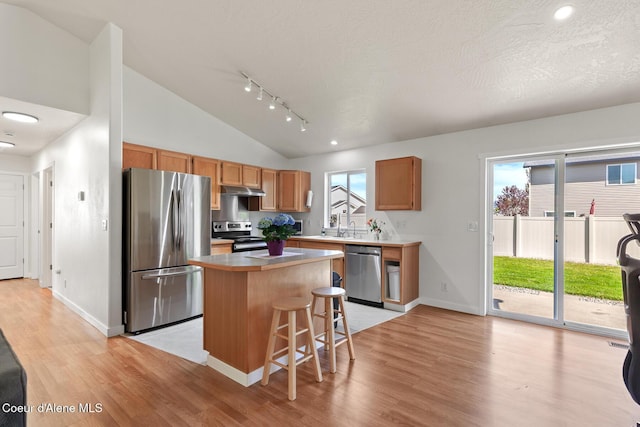 4905 W Lemonwood Ln, Post Falls, ID 83854 - kitchen with stainless steel appliances, a center island, light wood-type flooring, vaulted ceiling, and under cabinet range hood