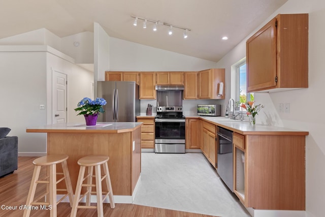 4905 W Lemonwood Ln, Post Falls, ID 83854 - kitchen with appliances with stainless steel finishes, a sink, lofted ceiling, under cabinet range hood, and rail lighting