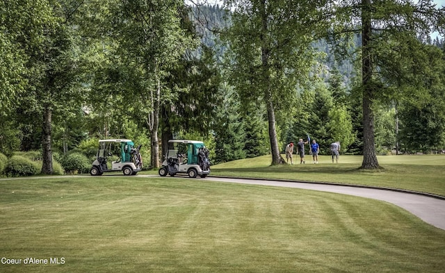 215 White Cloud Dr, Sandpoint, ID 83864 - view of property's community featuring a lawn