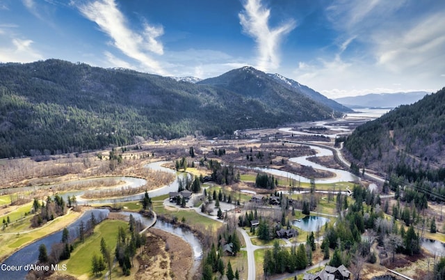 215 White Cloud Dr, Sandpoint, ID 83864 - mountain view featuring a large body of water and a heavily wooded area