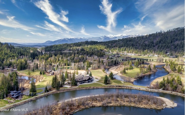 215 White Cloud Dr, Sandpoint, ID 83864 - view of property location with a forest and a water and mountain view