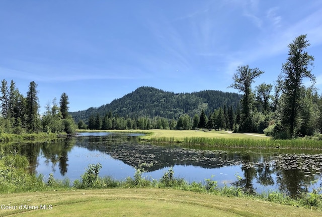 215 White Cloud Dr, Sandpoint, ID 83864 - water view with a forest and a mountainous background