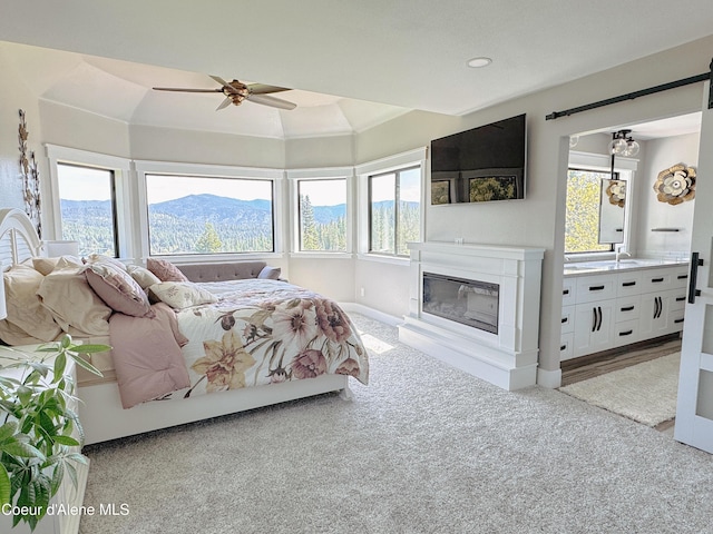 15818 N Morgan Ln, Hayden, ID 83835 - bedroom with carpet floors, a glass covered fireplace, a sink, and baseboards