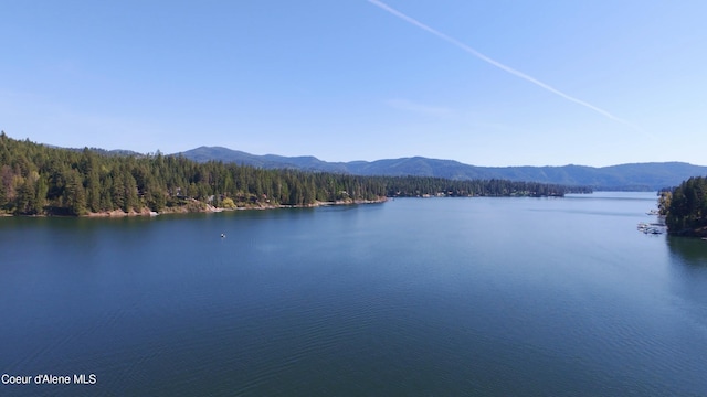 15818 N Morgan Ln, Hayden, ID 83835 - water view with mountains and a forest