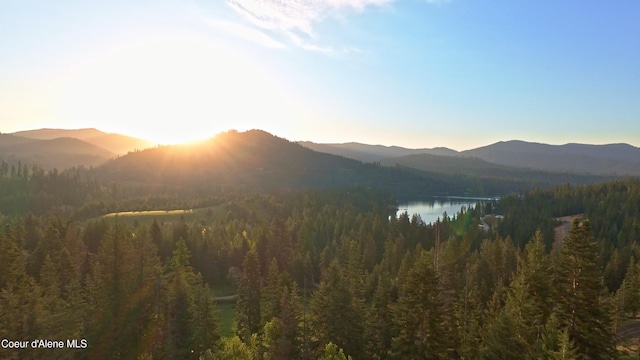 15818 N Morgan Ln, Hayden, ID 83835 - mountain view featuring a forest and a large body of water