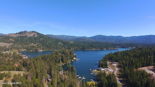 15818 N Morgan Ln, Hayden, ID 83835 - water view with a forest and mountains