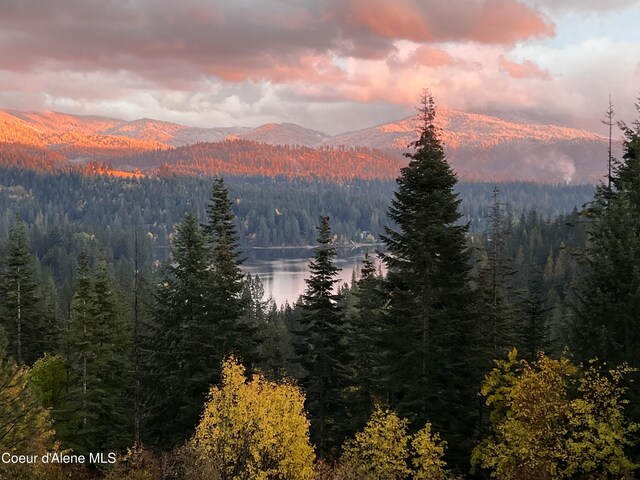 15818 N Morgan Ln, Hayden, ID 83835 - view of mountain background featuring a heavily wooded area and a large body of water