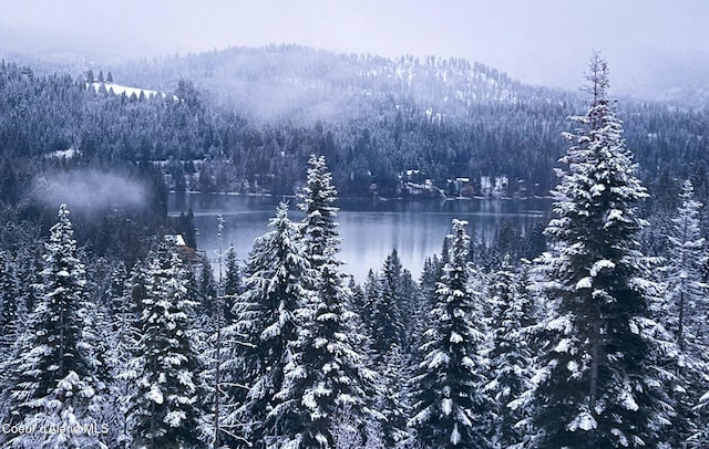 15818 N Morgan Ln, Hayden, ID 83835 - view of mountain backdrop featuring a heavily wooded area and a nearby body of water