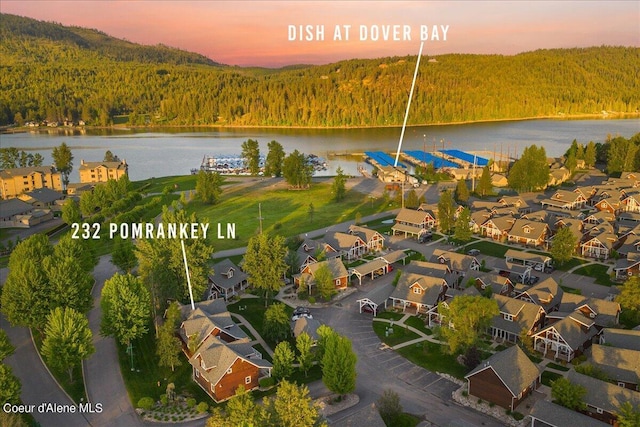 232 Pomrankey Ln, Dover, ID 83825 - aerial view at dusk of a view of trees, a water view, and a residential view
